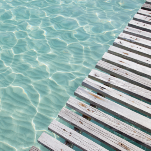 Mindfullness - Psicomar