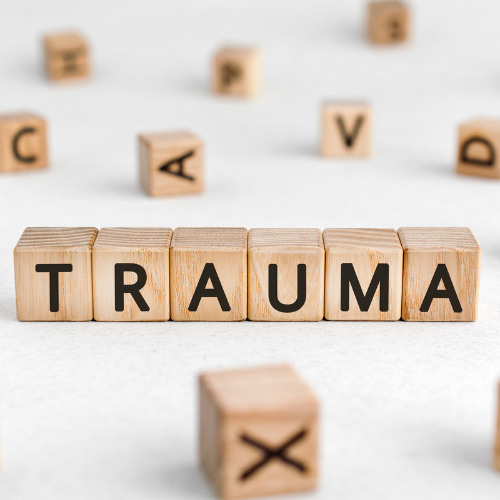 trauma martina parini